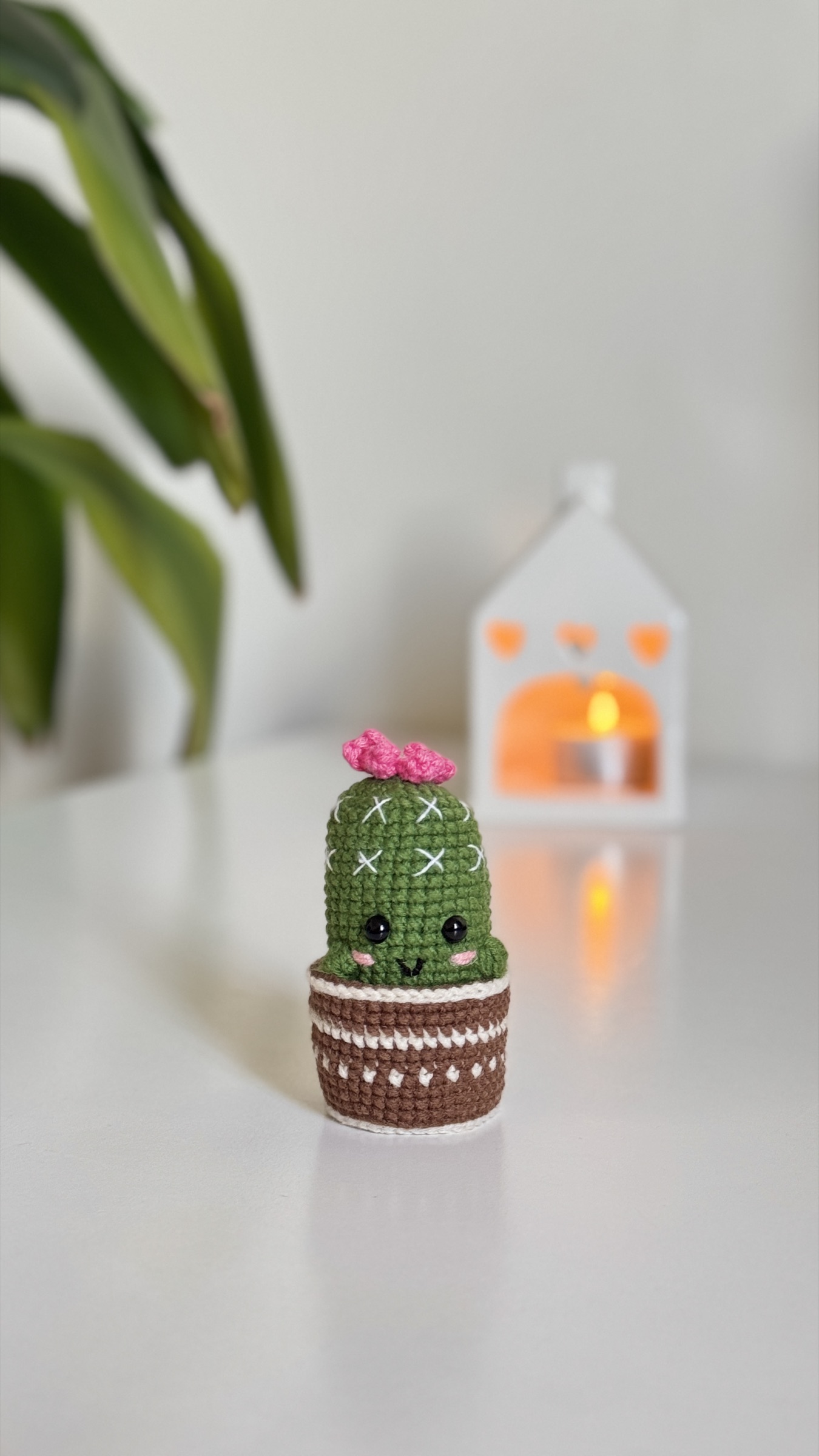 Loopli | Cactus