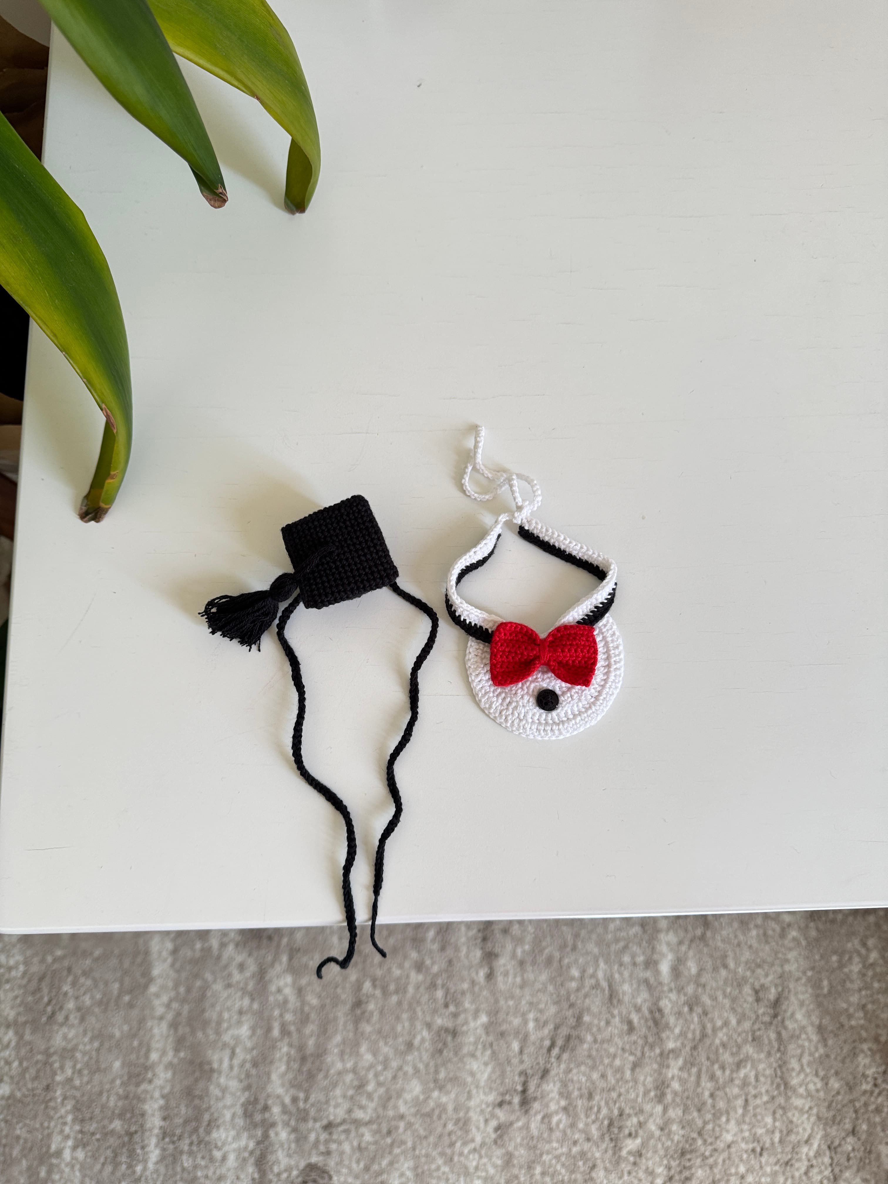 Loopli | Cat Bow and Hat Graduate